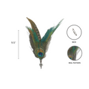 Peacock & Pheasant Fedora Feather Pin with Edelweiss Medallion