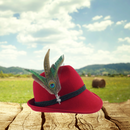 Peacock & Pheasant Fedora Feather Pin with Stag Medallion
