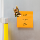 German Souvenir Bavarian Castles Fridge Magnet Beige