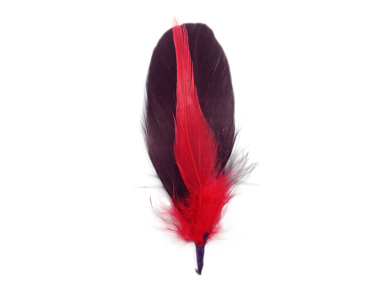 Brown and Red Single Decoration Hat Feather - ScandinavianGiftOutlet