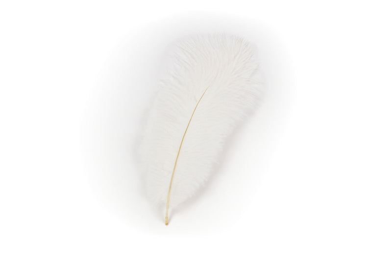 Germ Decorative White Hat Feather for Festival Hats