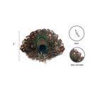 Deluxe Fedora Feather Pin Peacock & Brown Hat Feathers