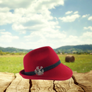 Metal Hat Pin Medallion Stag Germany Banner