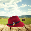 German Alpine Village Beer Stein Hat Pins for German Hat