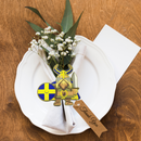 Cute Collectible Norwegian Viking Fridge Magnet