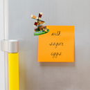 Holland Souvenir Kitchen Magnet Tulips Windmill