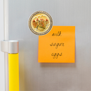 Refrigerator Magnet: Plate Magnet