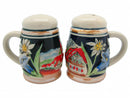 Engraved Beer Stein: Village Salt and Pepper Set - ScandinavianGiftOutlet